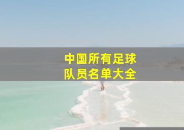 中国所有足球队员名单大全