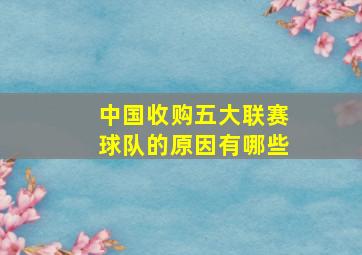 中国收购五大联赛球队的原因有哪些