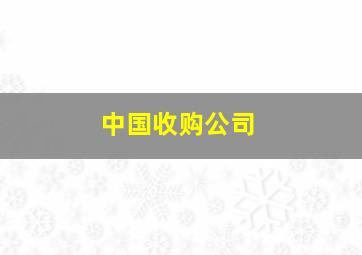 中国收购公司