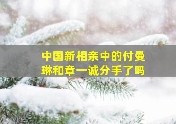 中国新相亲中的付曼琳和章一诚分手了吗