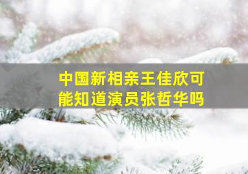 中国新相亲王佳欣可能知道演员张哲华吗