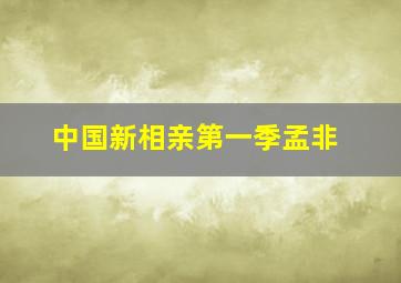 中国新相亲第一季孟非