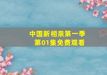 中国新相亲第一季第01集免费观看