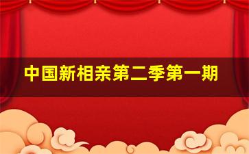 中国新相亲第二季第一期