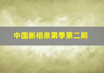 中国新相亲第季第二期