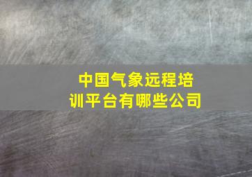 中国气象远程培训平台有哪些公司