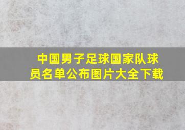 中国男子足球国家队球员名单公布图片大全下载