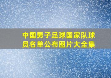 中国男子足球国家队球员名单公布图片大全集