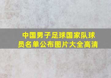 中国男子足球国家队球员名单公布图片大全高清