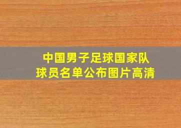 中国男子足球国家队球员名单公布图片高清