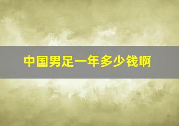 中国男足一年多少钱啊