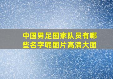 中国男足国家队员有哪些名字呢图片高清大图