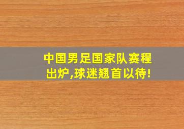 中国男足国家队赛程出炉,球迷翘首以待!