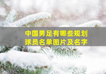 中国男足有哪些规划球员名单图片及名字