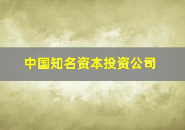 中国知名资本投资公司