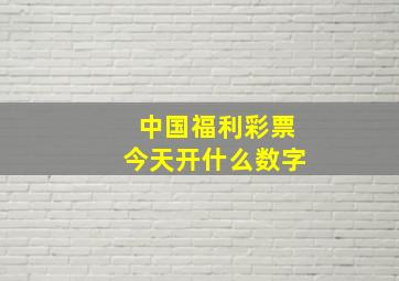 中国福利彩票今天开什么数字