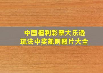 中国福利彩票大乐透玩法中奖规则图片大全