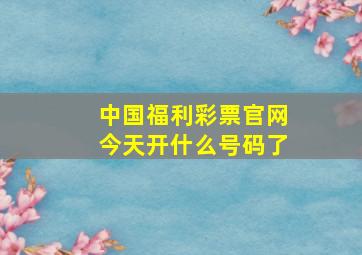 中国福利彩票官网今天开什么号码了