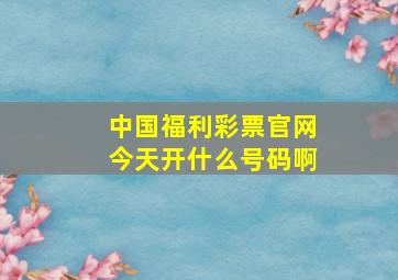 中国福利彩票官网今天开什么号码啊