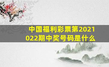 中国福利彩票第2021022期中奖号码是什么