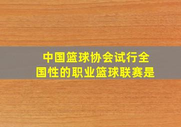 中国篮球协会试行全国性的职业篮球联赛是