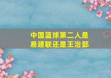 中国篮球第二人是易建联还是王治郅