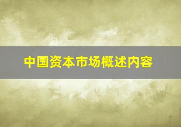 中国资本市场概述内容