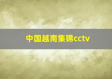 中国越南集锦cctv