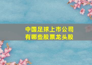 中国足球上市公司有哪些股票龙头股