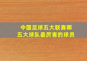 中国足球五大联赛哪五大球队最厉害的球员