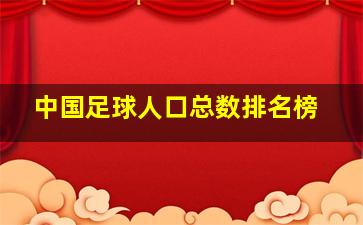 中国足球人口总数排名榜