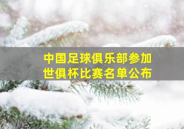 中国足球俱乐部参加世俱杯比赛名单公布