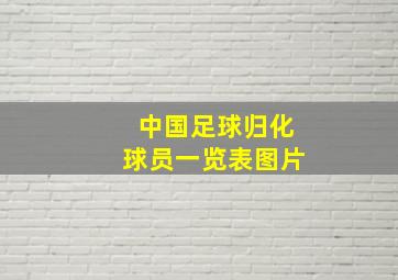 中国足球归化球员一览表图片