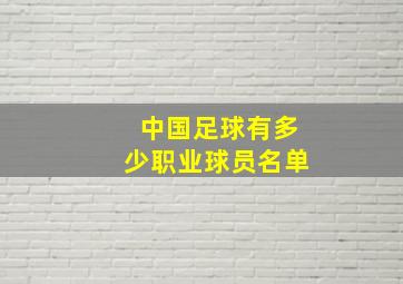 中国足球有多少职业球员名单