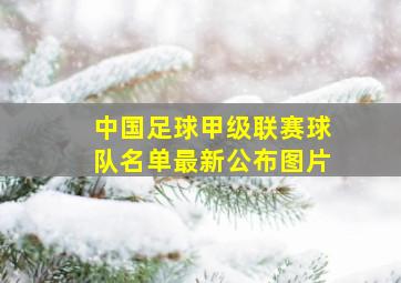 中国足球甲级联赛球队名单最新公布图片