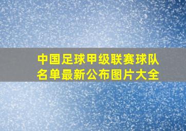 中国足球甲级联赛球队名单最新公布图片大全