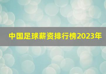 中国足球薪资排行榜2023年