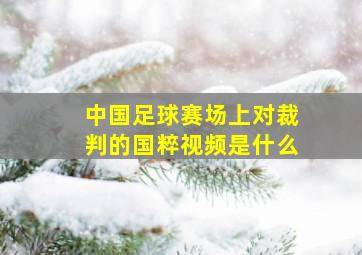 中国足球赛场上对裁判的国粹视频是什么