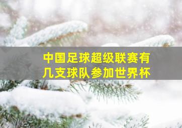 中国足球超级联赛有几支球队参加世界杯