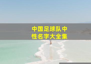 中国足球队中性名字大全集