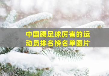 中国踢足球厉害的运动员排名榜名单图片