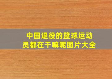 中国退役的篮球运动员都在干嘛呢图片大全