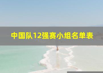 中国队12强赛小组名单表