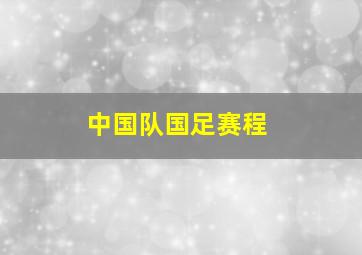 中国队国足赛程