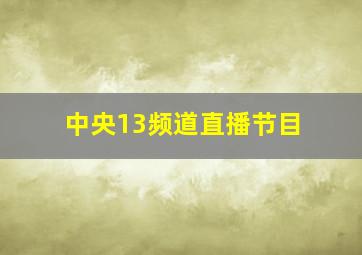 中央13频道直播节目