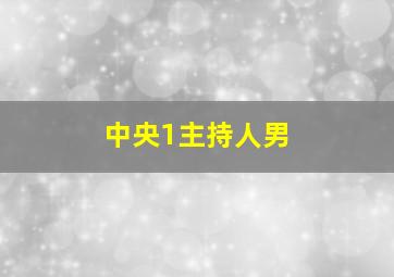 中央1主持人男