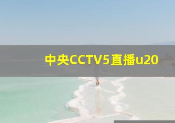 中央CCTV5直播u20