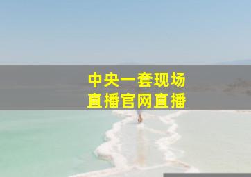 中央一套现场直播官网直播