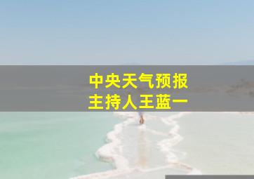 中央天气预报主持人王蓝一