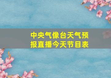 中央气像台天气预报直播今天节目表